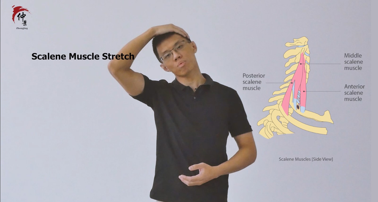 Scalene Stretch